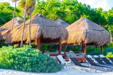 Palapa sazdan çatılar palmiye ağaçları şemsiyeler ve Playa del Carmen Meksika 'daki tropikal Meksika plajındaki sahil otelindeki güneş pansiyonları..