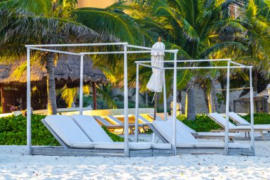 Palapa sazdan çatılar palmiye ağaçları şemsiyeler ve Playa del Carmen Meksika 'daki tropikal Meksika plajındaki sahil otelindeki güneş pansiyonları..