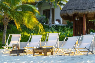 Palapa sazdan çatılar palmiye ağaçları şemsiyeler ve Playa del Carmen Meksika 'daki tropikal Meksika plajındaki sahil otelindeki güneş pansiyonları..