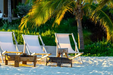 Palapa sazdan çatılar palmiye ağaçları şemsiyeler ve Playa del Carmen Meksika 'daki tropikal Meksika plajındaki sahil otelindeki güneş pansiyonları..