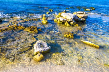 Playa del Carmen Quintana Roo Meksika sahilindeki turkuaz yeşil ve mavi sularda kayalar ve mercanlar..