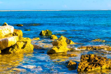 Playa del Carmen Quintana Roo Meksika sahilindeki turkuaz yeşil ve mavi sularda kayalar ve mercanlar..
