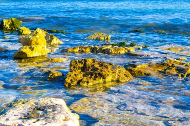 Playa del Carmen Quintana Roo Meksika sahilindeki turkuaz yeşil ve mavi sularda kayalar ve mercanlar..