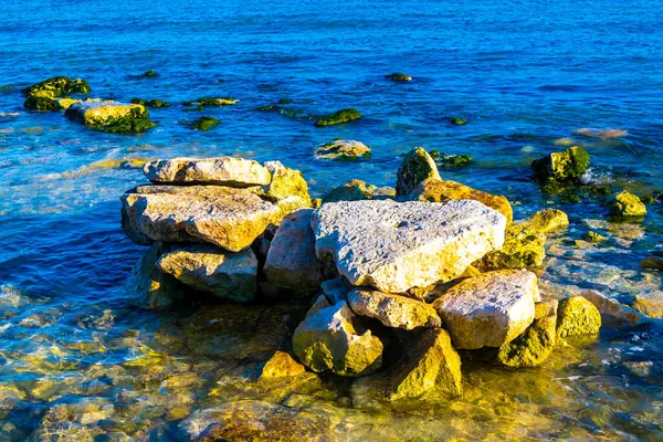 Playa del Carmen Quintana Roo Meksika sahilindeki turkuaz yeşil ve mavi sularda kayalar ve mercanlar..