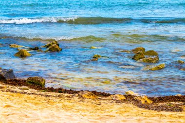 Playa del Carmen Quintana Roo Meksika sahilindeki turkuaz yeşil ve mavi sularda kayalar ve mercanlar..
