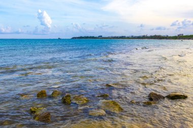 Playa del Carmen Quintana Roo Meksika sahilindeki turkuaz yeşil ve mavi sularda kayalar ve mercanlar..