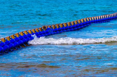Meksika 'nın tropik karayip sahillerinde Sargazo yosunlu deniz yosunu ile Playa del Carmen Meksika' nın turkuaz mavi sularında büyük iğrenç bir sorun var..