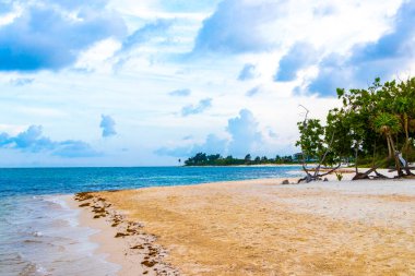 Playa del Carmen Meksika 'da turkuvaz mavisi berrak sulara sahip tropik Meksika Karayip sahili manzarası..