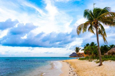 Playa del Carmen Meksika 'da turkuvaz mavisi berrak sulara sahip tropik Meksika Karayip sahili manzarası..