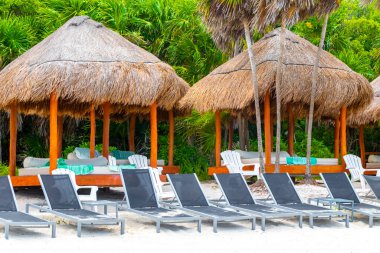 Palapa sazdan çatılar palmiye ağaçları şemsiyeler ve Playa del Carmen Meksika 'daki tropikal Meksika plajındaki sahil otelindeki güneş pansiyonları..