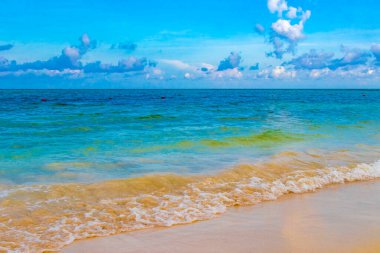 Playa del Carmen Meksika 'da turkuvaz mavisi berrak sulara sahip tropik Meksika Karayip sahili manzarası..