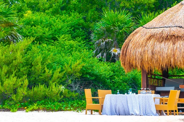 Palapa sazdan çatılar palmiye ağaçları şemsiyeler ve Playa del Carmen Meksika 'daki tropikal Meksika plajındaki sahil otelindeki güneş pansiyonları..