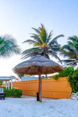 Palapa sazdan çatılar palmiye ağaçları şemsiyeler ve Playa del Carmen Meksika 'daki tropikal Meksika plajındaki sahil otelindeki güneş pansiyonları..