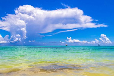 Playa del Carmen Mexico 'da turkuvaz mavisi tatil beldeleri ve palmiye ağaçları olan tropik Meksika Karayip plajı manzarası..