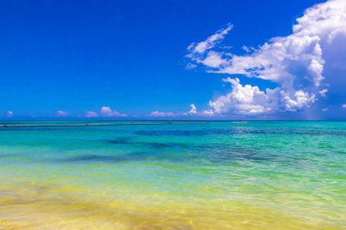 Playa del Carmen Mexico 'da turkuvaz mavisi tatil beldeleri ve palmiye ağaçları olan tropik Meksika Karayip plajı manzarası..