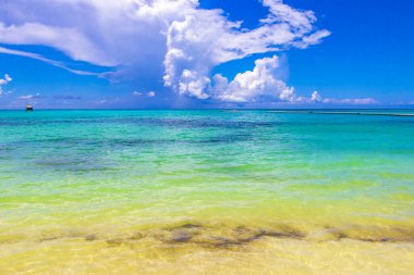 Playa del Carmen Mexico 'da turkuvaz mavisi tatil beldeleri ve palmiye ağaçları olan tropik Meksika Karayip plajı manzarası..