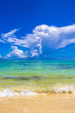 Playa del Carmen Mexico 'da turkuvaz mavisi tatil beldeleri ve palmiye ağaçları olan tropik Meksika Karayip plajı manzarası..