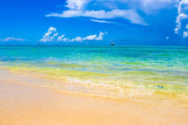 Playa del Carmen Mexico 'da turkuvaz mavisi tatil beldeleri ve palmiye ağaçları olan tropik Meksika Karayip plajı manzarası..