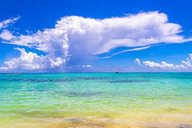 Playa del Carmen Mexico 'da turkuvaz mavisi tatil beldeleri ve palmiye ağaçları olan tropik Meksika Karayip plajı manzarası..