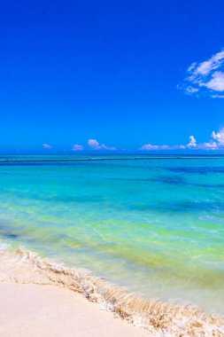 Playa del Carmen Mexico 'da turkuvaz mavisi tatil beldeleri ve palmiye ağaçları olan tropik Meksika Karayip plajı manzarası..