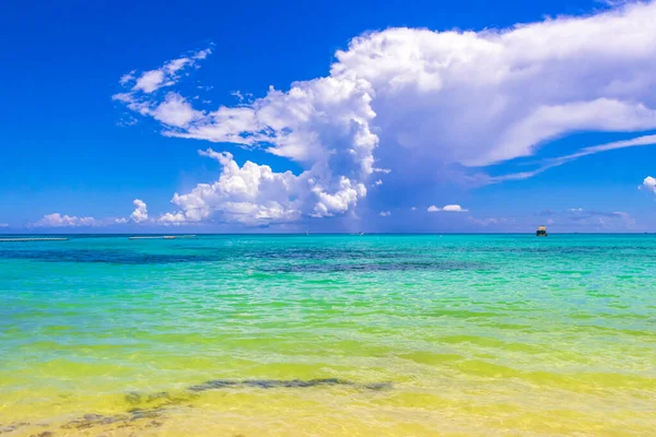 Playa del Carmen Mexico 'da turkuvaz mavisi tatil beldeleri ve palmiye ağaçları olan tropik Meksika Karayip plajı manzarası..