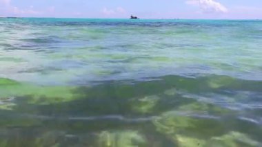 Playa del Carmen Meksika 'da berrak turkuaz mavi sularla tropikal Meksika sahili manzarası ve Karayip denizinde su ve kum dalgaları..