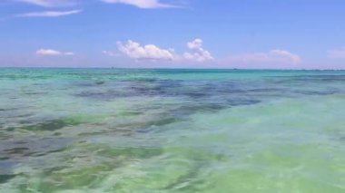 Playa del Carmen Meksika 'da berrak turkuaz mavi sularla tropikal Meksika sahili manzarası ve Karayip denizinde su ve kum dalgaları..