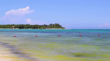 Playa del Carmen Mexico 'da turkuvaz mavisi tatil beldeleri ve palmiye ağaçları olan tropik Meksika Karayip plajı manzarası..