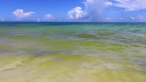 Tropical Mexican Caribbean Beach Landscape Panorama Clear Turquoise Blue Water — Stock Video