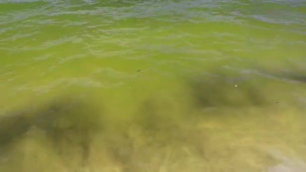 Vlny Vody Písku Tropické Mexické Pláži Krajina Panorama Karibské Moře — Stock video