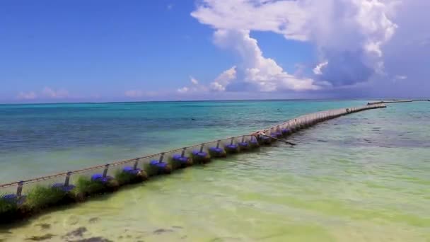 メキシコの熱帯メキシコのカリブ海のビーチとサルガゾ海の海は プラヤデルカルメンメキシコの明確なターコイズブルーウォーターで純ロープとブイを織りました — ストック動画