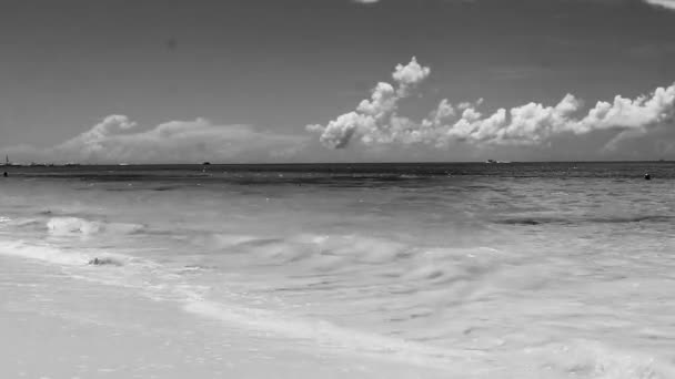 Tropické Mexické Karibské Pláže Krajina Panorama Jasnou Tyrkysově Modré Vody — Stock video