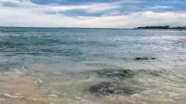 Playa del Carmen Quintana Roo Meksika 'daki Karayipler sahilinde turkuaz yeşil ve mavi sularda kayalar ve mercanlar..