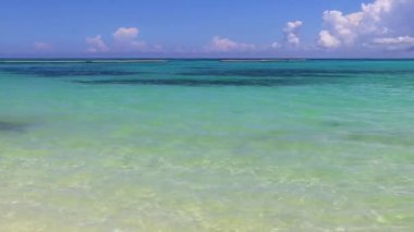 Playa del Carmen Mexico 'da turkuvaz mavisi tatil beldeleri ve palmiye ağaçları olan tropik Meksika Karayip plajı manzarası..