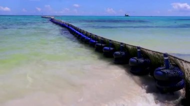 Sargazo yosunlu deniz yosunu ağ halatı ve açık turkuaz mavi şamandıralarla Playa del Carmen Meksika 'da.