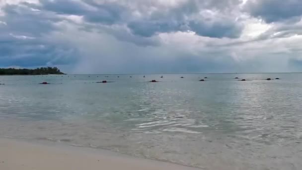 メキシコの熱帯メキシコのカリブ海のビーチ風景パノラマ 明確なターコイズブルーウォーターリゾートとプラヤデルカルメンメキシコのヤシの木 — ストック動画
