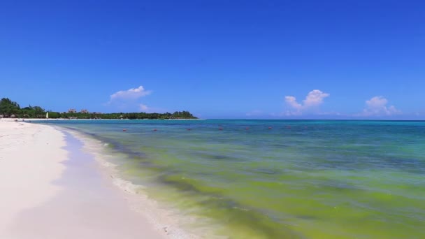Panorama Tropical Playa Caribeña Mexicana Con Balnearios Palmeras Playa Del — Vídeo de stock