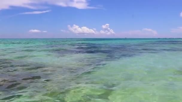 Onde Acqua Sabbia Spiaggia Tropicale Messicana Panorama Paesaggio Mare Caraibico — Video Stock
