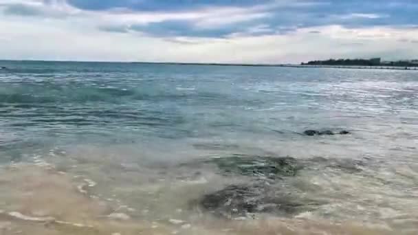 メキシコプラヤデルカルメン キンタナルーのカリブ海のビーチのターコイズグリーンとブルーウォーターの石とサンゴ — ストック動画