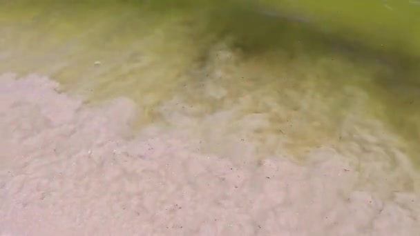 メキシコの熱帯ビーチの風景パノラマとカリブ海で水と砂 プラヤデルカルメンメキシコの明確なターコイズブルーウォーター — ストック動画