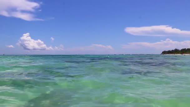 플라야 카르멘 멕시코의 명확한 청록색 멕시코 파노라마와 카리브해에 — 비디오