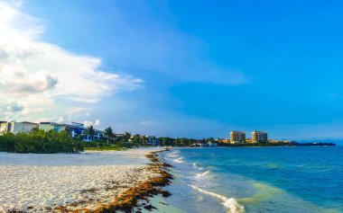 Playa del Carmen Mexico 'da turkuvaz mavisi tatil beldeleri ve palmiye ağaçları olan tropik Meksika Karayip plajı manzarası..