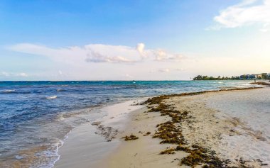 Playa del Carmen Mexico 'da turkuvaz mavisi tatil beldeleri ve palmiye ağaçları olan tropik Meksika Karayip plajı manzarası..
