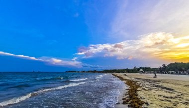 Playa del Carmen Mexico 'da turkuaz mavi su tatil beldeleri ve palmiye ağaçlarıyla tropikal Meksika Karayip Sahili manzarasında muhteşem ve renkli gün batımı..