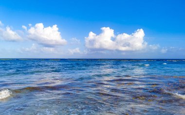 Playa del Carmen Mexico 'da turkuvaz mavisi tatil beldeleri ve palmiye ağaçları olan tropik Meksika Karayip plajı manzarası..