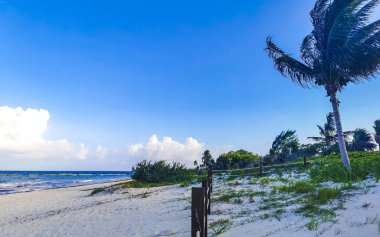 Playa del Carmen Mexico 'da turkuvaz mavisi tatil beldeleri ve palmiye ağaçları olan tropik Meksika Karayip plajı manzarası..
