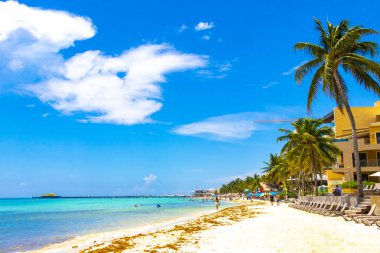 Playa del Carmen Quintana Roo Meksika 05. Ağustos 2023 Tropikal Meksika Karayip plajı ve denizi çok eğlenceli insanlarla güneş şemsiyeleri Playa del Carmen Meksika 'da turkuaz su.
