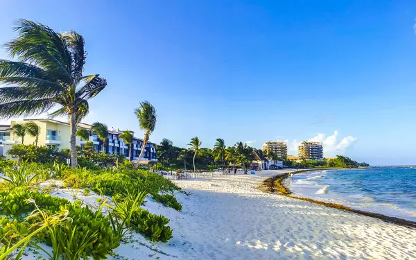 Playa del Carmen Mexico 'da turkuvaz mavisi tatil beldeleri ve palmiye ağaçları olan tropik Meksika Karayip plajı manzarası..