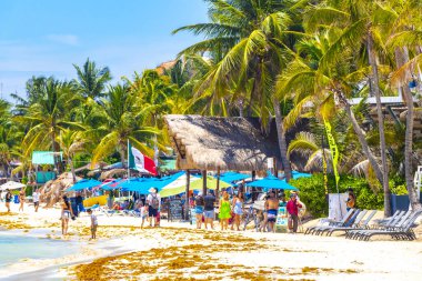 Playa del Carmen Quintana Roo Meksika 05. Ağustos 2023 Tropikal Meksika Karayip plajı ve denizi çok eğlenceli insanlarla güneş şemsiyeleri Playa del Carmen Meksika 'da turkuaz su.