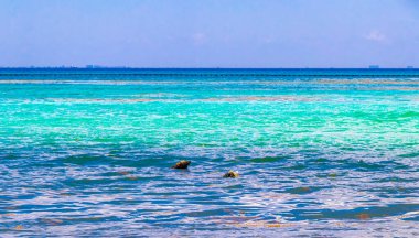 Playa del Carmen Quintana Roo Mexico 'daki turkuaz mavi sularla Cozumel adasının tropik Meksika deniz ve sahil manzarası manzarası.